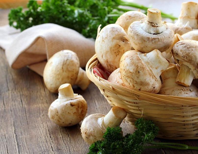 Congeler des champignons au réfrigérateur domestique : les meilleures méthodes.  Champignons : conserver leurs qualités bénéfiques