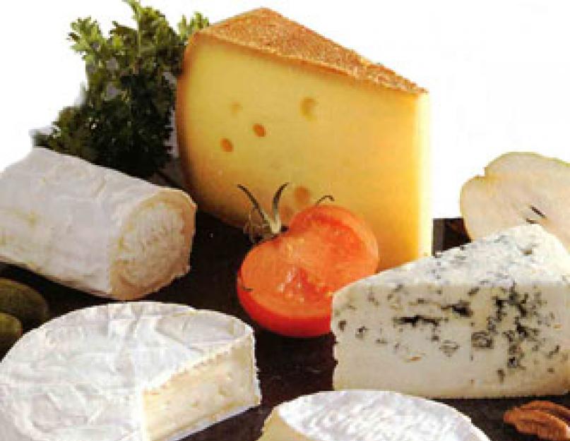 Когда появился сыр в мире. Самые сырные страны мира. История изготовления сыра