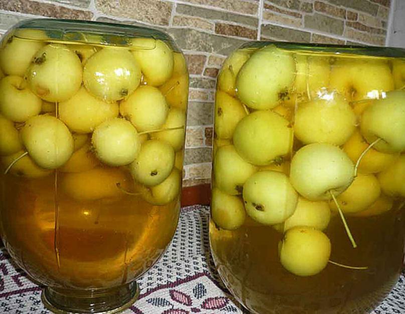 Яблоки на зиму, рецепты приготовления. Делаем заготовки из яблок на зиму – лучшие советы и рецепты для вас