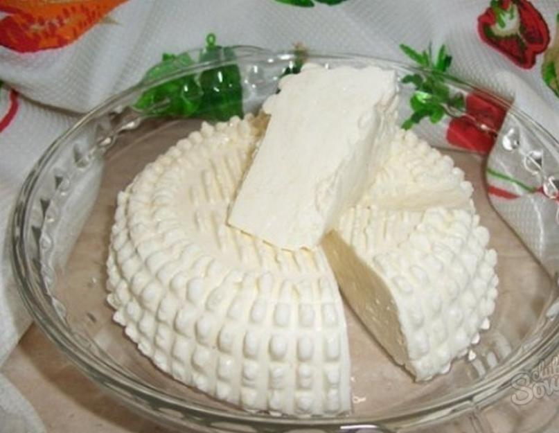 Простой рецепт вкусного домашнего сыра из молока. Лучшие рецепты домашних сыров