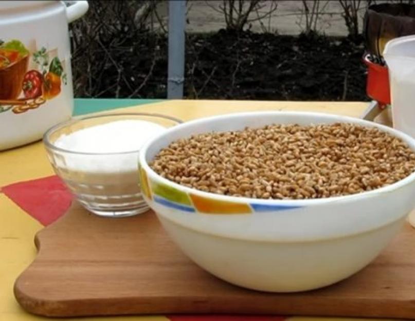 Quel blé utiliser pour le clair de lune.  Préparation préliminaire et germination des grains.  Recettes de purée d'orge