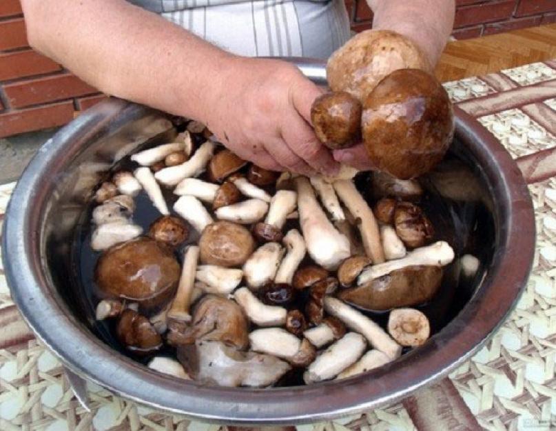 Заготовка грибов на зиму белые грибы. Как приготовить вкусные белые маринованные грибы на зиму. Белые грибы на зиму: маринование