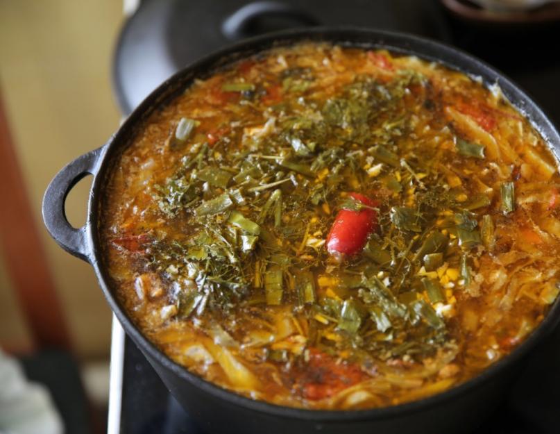 Простой рецепт супа щи из свежей капусты. Ингредиенты на трёхлитровую кастрюлю. Как приготовить щи со свежей капустой с говядиной