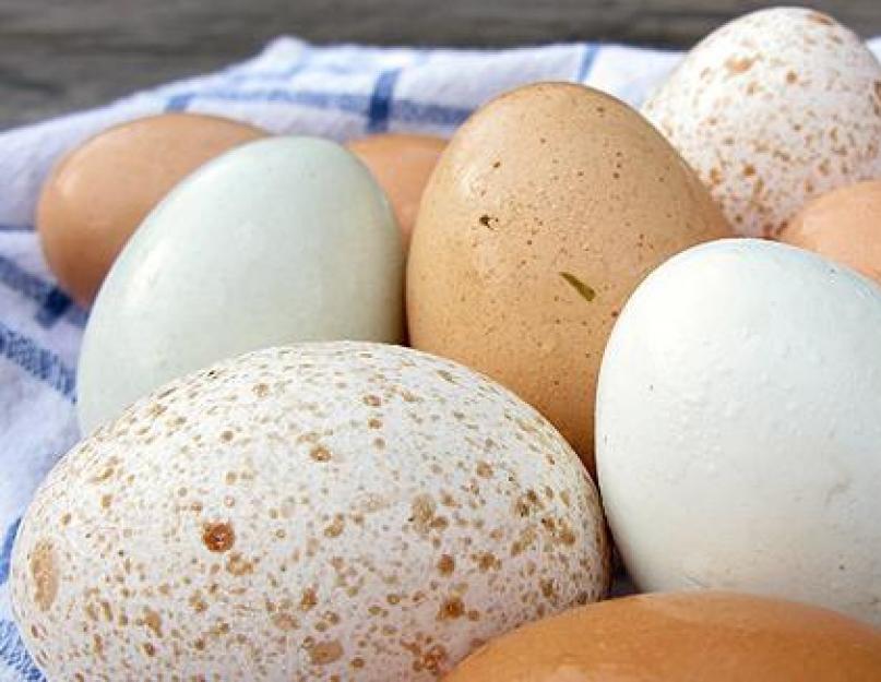 Как узнать хорошее яйцо или нет. Как определить яйца протухли или нет