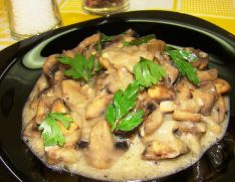 Жареные грибы со сметаной рецепт. Лесные грибы в сметане на сковороде