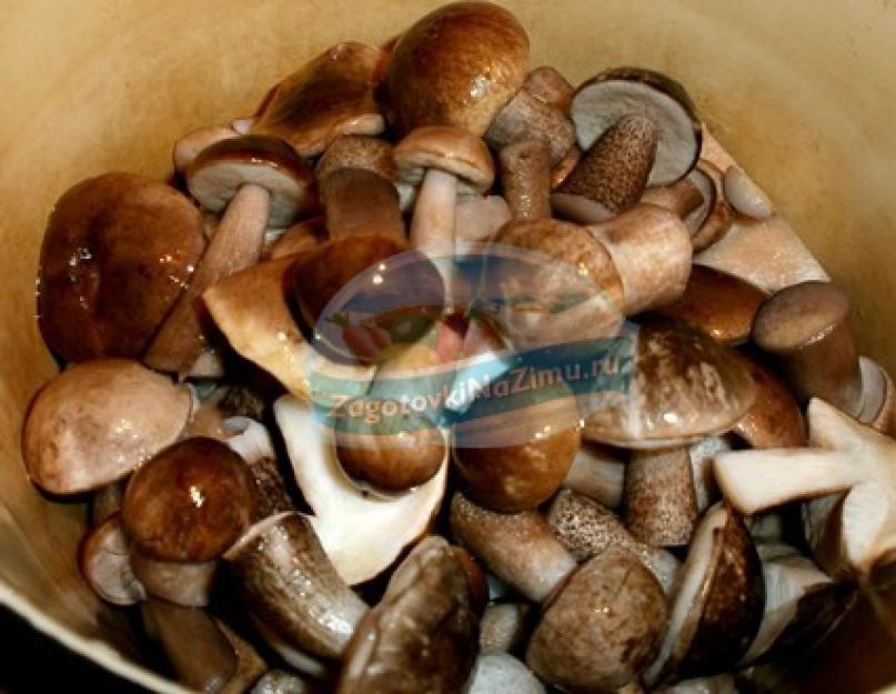 Маринованные белые грибы на зиму простой рецепт. Маринованные белые грибы: секреты и тонкости. Маринованные белые грибы – простая, но очень вкусная закуска
