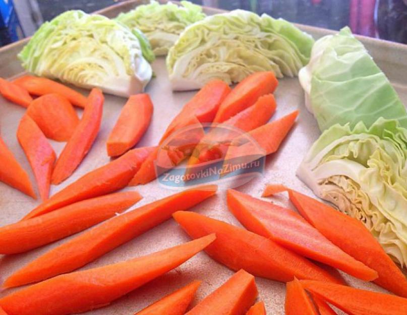 Cavolo con pomodori per l'inverno: agrodolce, salato, in salamoia, in salamoia.  Segreti del perfetto decapaggio di cavoli e pomodori per l'inverno.  Pomodori e cavoli per l'inverno, ti leccherai le dita