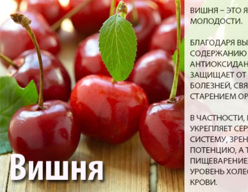 Вишня ягоды полезные. Калорийность вишни и черешни. Чем полезна вишня. Вишня полезна для организма. Полезные вещества в вишне.