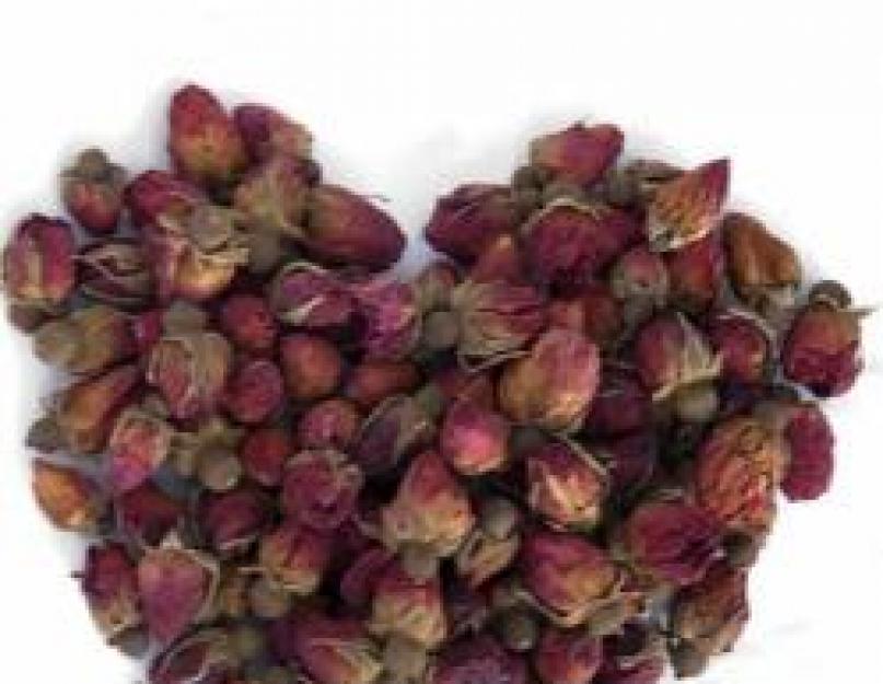 Bienfaits du thé à la rose musquée.  Thé à la rose musquée, avantages et inconvénients, recettes.  Cynorrhodons - les avantages et les inconvénients de la « rose sauvage »