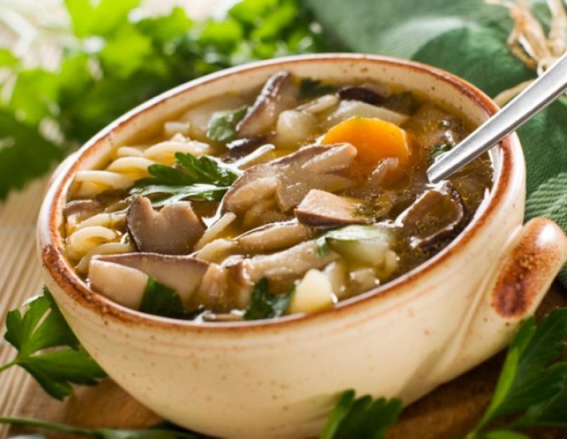 Суп из шампиньонов с капустой рецепт. Как приготовить грибной суп с капустой на мясном бульоне