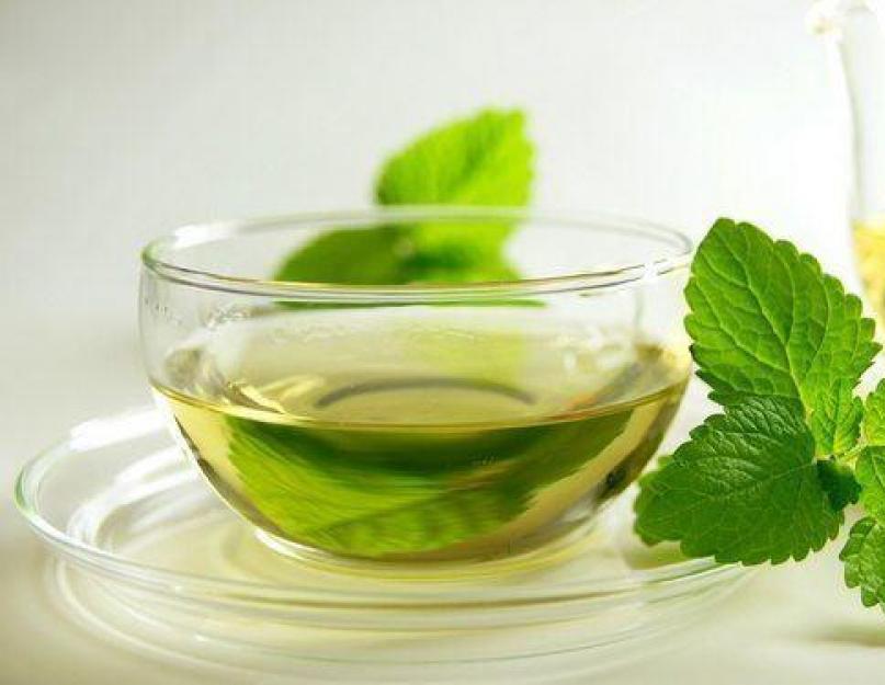Мятный чай: польза и вред. Чай с душицей и листьями мяты. Состав и калорийность мяты