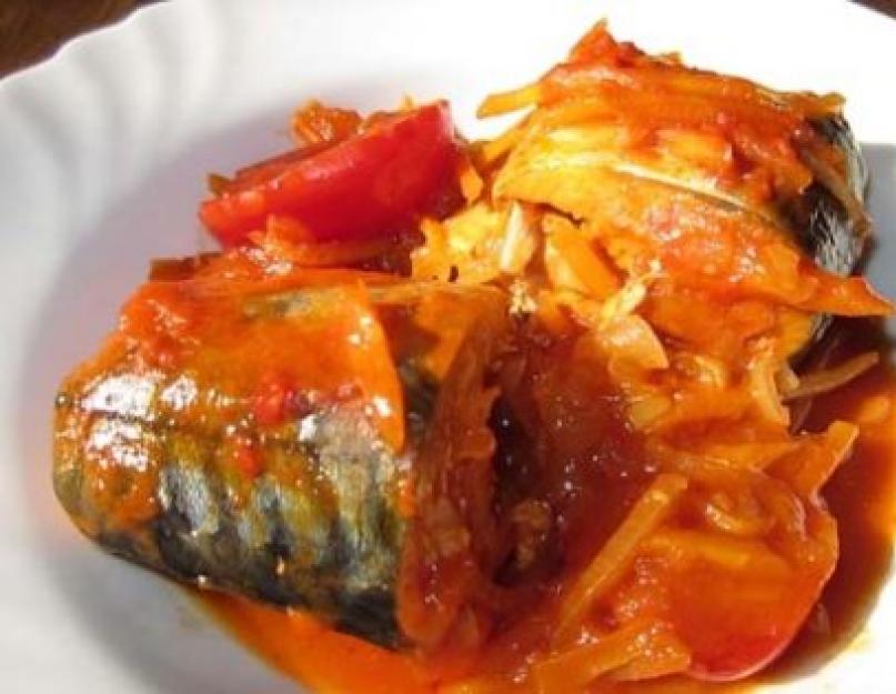 Рецепт скумбрии тушеной с морковью. Скумбрия тушеная с морковью и луком (рыба по-гречески)