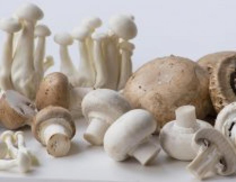 Как сделать грибную подливку из свежих грибов. Грибная подливка из замороженных грибов самый вкусный рецепт