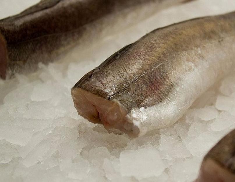 Quel type de poisson est le merlu, de mer ou de rivière ?  Le merlu est devenu un mème : à quoi ressemble le merlu en réalité ?  Utiliser en cuisine