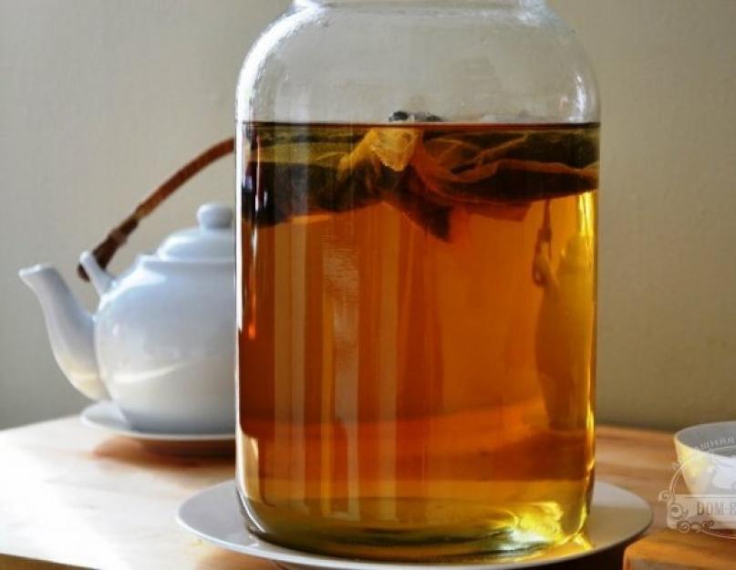 Чайный гриб рецепт приготовления с нуля. Как вырастить чайный гриб в домашних условиях. Правильный уход за чайным грибом