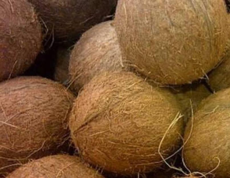 Noix de coco fraîches.  Contre-indications et méfaits.  Les bienfaits de la noix de coco pour le corps et sa composition