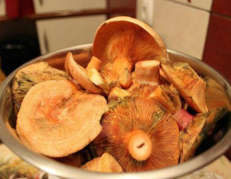 Что делают с рыжиками грибами мариновать. Рыжики рецепты приготовления на зиму