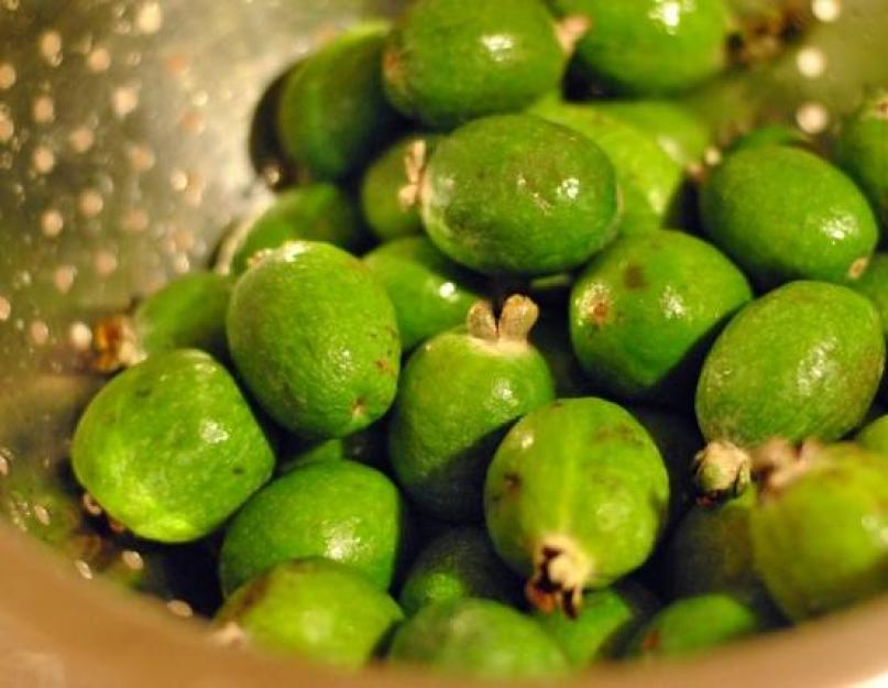 Filmer la confiture de feijoa.  Confiture insolite de feijoa et gingembre.  Les bienfaits du feijoa pour le corps masculin