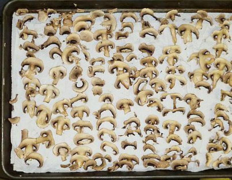 Как сушить грибы в духовке электрической и газовой: особенности и рекомендации. Как сушить грибы в духовке