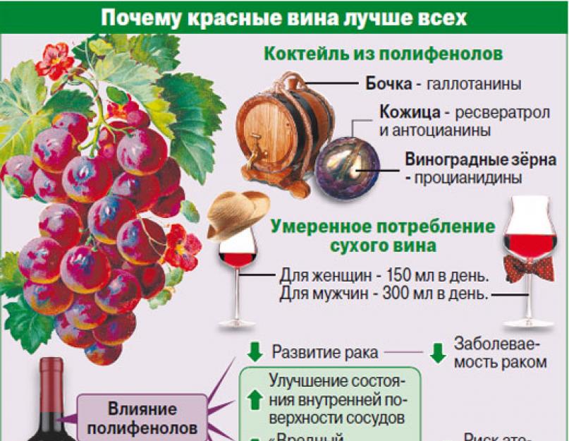 В чём отличие красного вина от белого? Разница между белым и красным вином