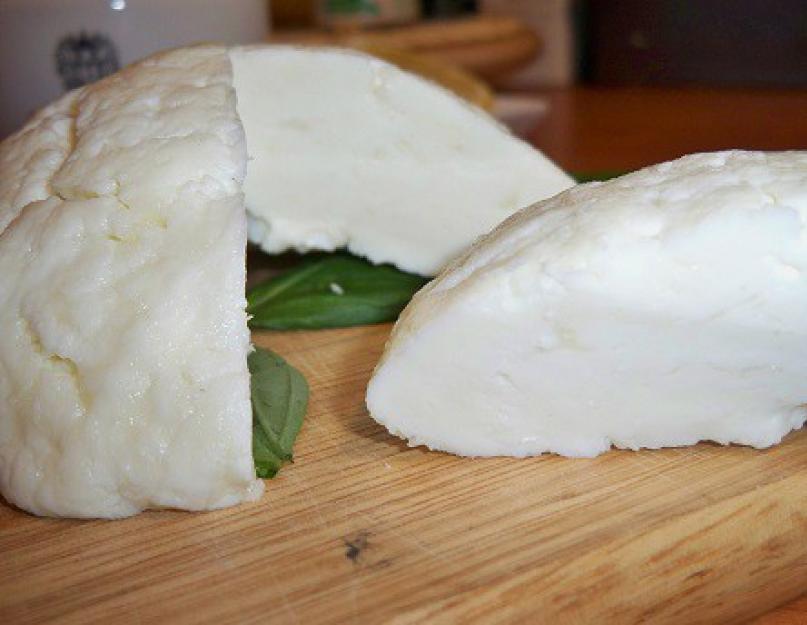 Сварить адыгейский сыр. Адыгейский сыр - очень полезный продукт. Адыгейский сыр с уксусом в домашних условиях
