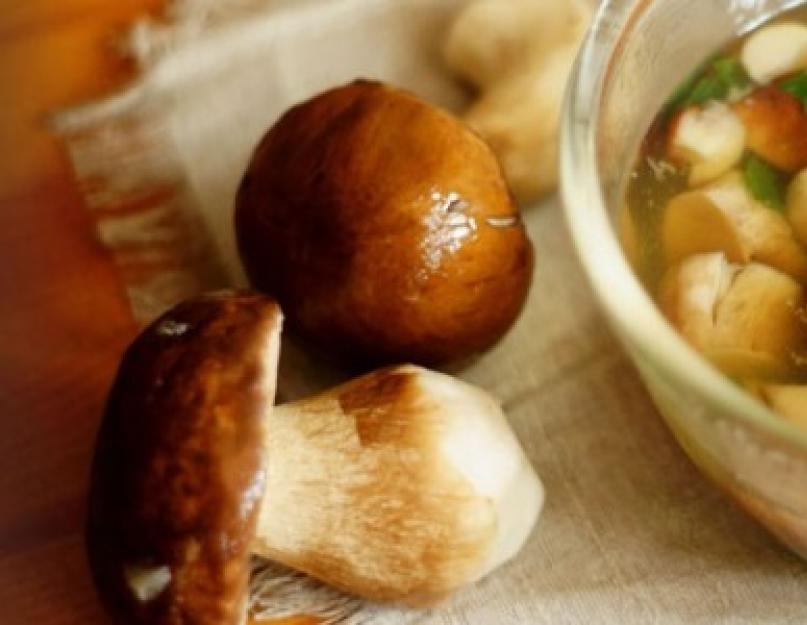Как варить суп из свежих грибов. Грибной суп из свежих грибов - рецепты вкусных и очень ароматных первых блюд. Суп-пюре из шампиньонов