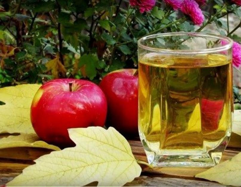 Сушеные яблоки — польза и вред для здоровья. Отвар из яблок