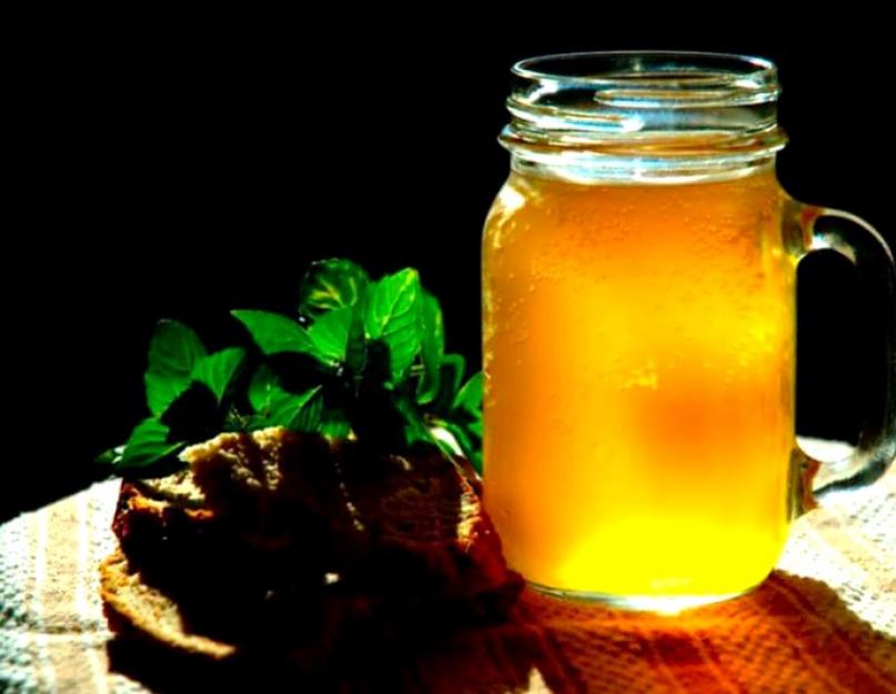 Как сделать березовый квас с лимоном. Квас из березового сока — лучшие домашние рецепты. Условия и сроки хранения березового кваса