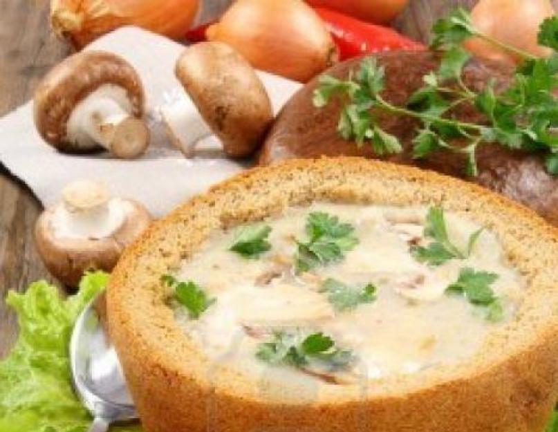 Простые рецепты на каждый день супы пюре. Классический картофельный суп-пюре. Суп-пюре из красной чечевицы с томатами