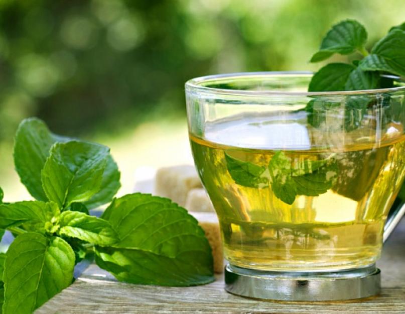 Можно пить зеленый чай мятой. Все о зеленом чае с мятой. Польза мяты для мужчин