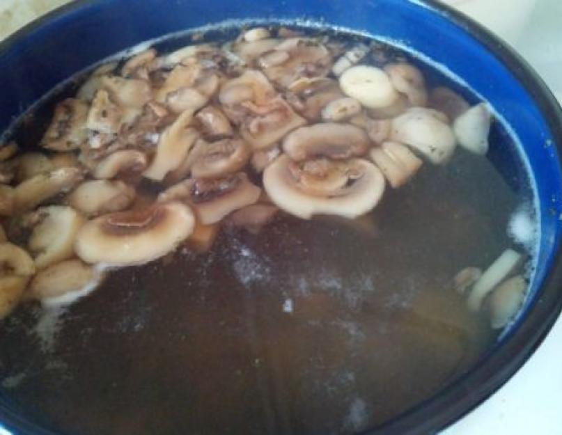 Грибной суп: самые вкусные рецепты супа из замороженных грибов. Грибной суп из замороженных грибов — рецепты самых вкусных супов