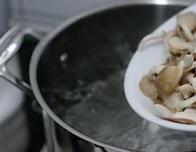 Бычки грибы рецепты приготовления. Грибы бычки: как готовить их вкусно