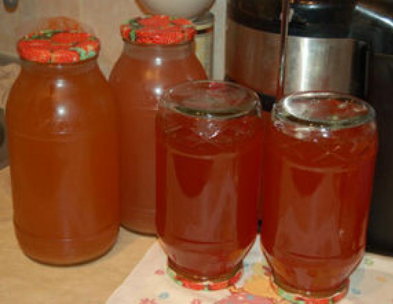 Приготовление домашнего яблочного сока на зиму в соковарке. Яблочный сок на зиму: простые рецепты и секреты приготовления