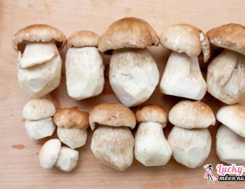 Рецепт маринования белых грибов на зиму вкусный. Как замариновать белые грибы