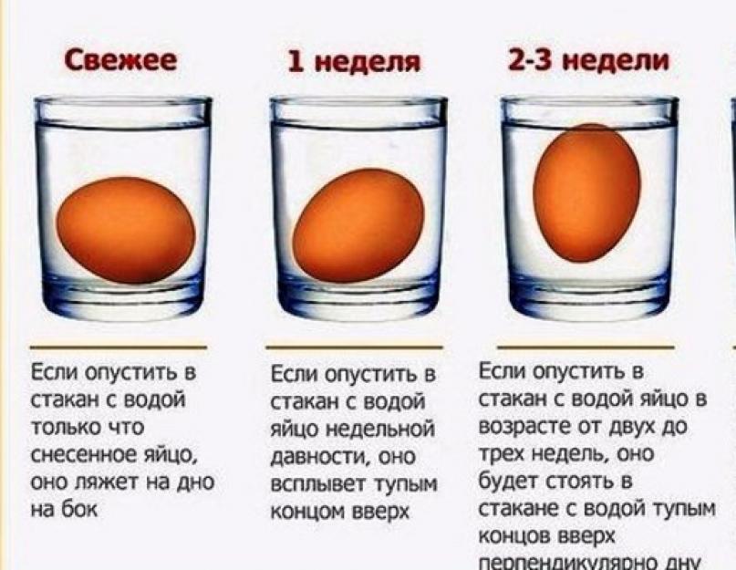 Как проверить свежесть яйца. Как проверить свежесть яиц в воде и другие способы проверки? Как проверить свежесть перепелиных яиц