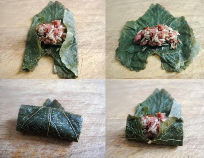 Dolma à base de feuilles de vigne fraîches.  Comment préparer le dolma à partir de feuilles de vigne.  Option avec du poisson