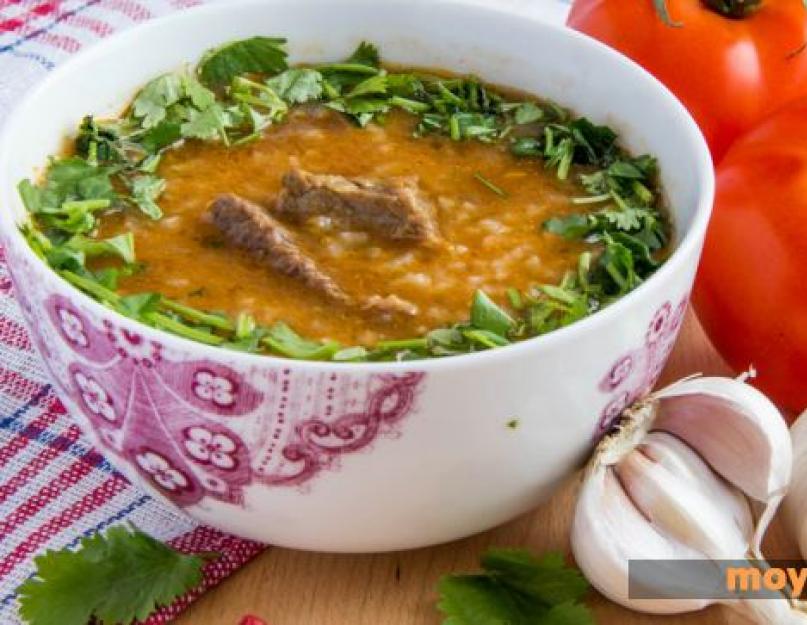 Суп харчо в мультиварке с говядиной и рисом. Пошаговый рецепт приготовления супа харчо в мультиварке