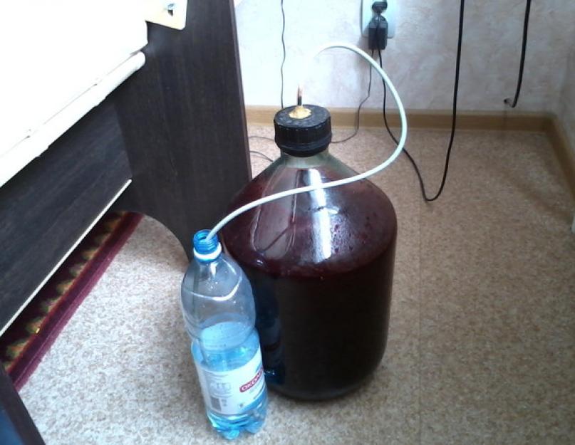 Сделать вино из смородины без дрожжей. Как сделать вино из черной смородины в домашних условиях. Домашнее вино из черной смородины - видеорецепт