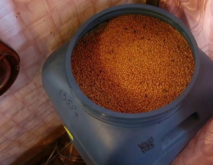 Почему киснет брага на пшенице. Как исправить кислый самогон и что делать с прокисшей брагой