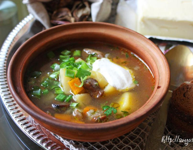 Вкусный суп из свежих грибов. Суп с перловой крупой и грибами по-польски. Видео о том, как приготовить суп грибной с сыром