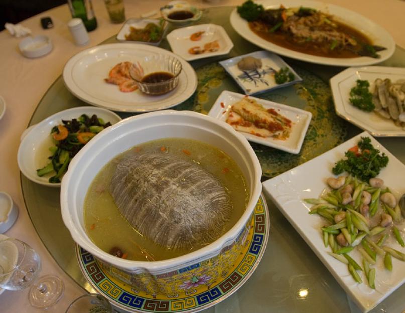 Kaplumbağa çorbası - fotoğraflı tarifler.  Kaplumbağa çorbası: tarifler ve pişirme özellikleri 4'lü kaplumbağa çorbası çorbası
