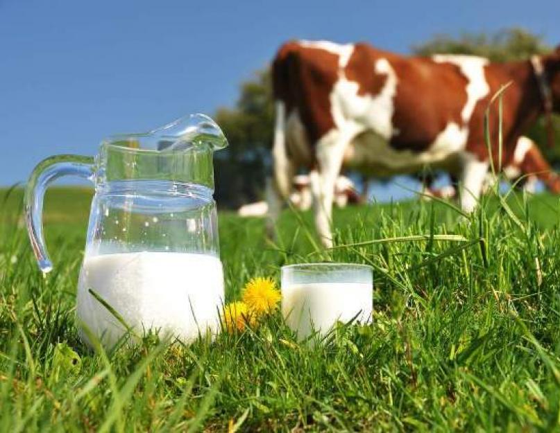 A quelle température les produits laitiers sont-ils stockés ?  Chaleur rafraîchissante.  Quelle est la meilleure façon de conserver le lait