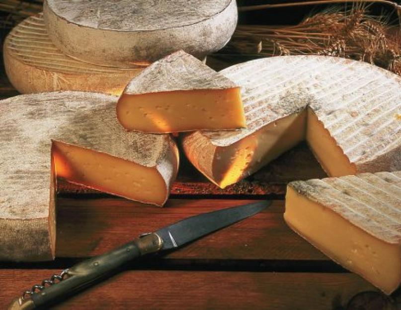 Questions sur le fromage.  Faits sur le fromage.  Utilisation maison du fromage cottage