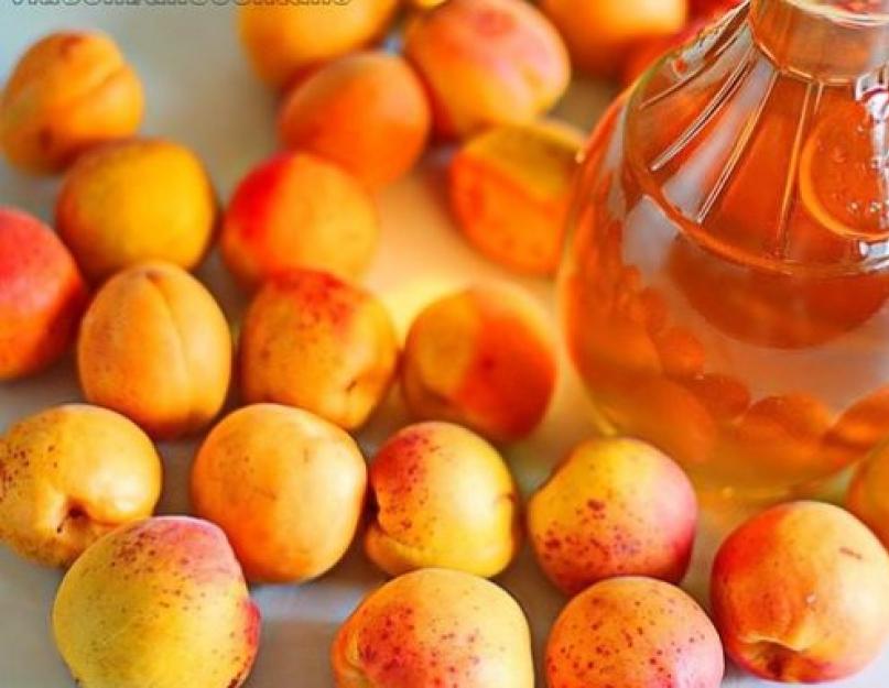 Домашняя брага из абрикосов. Рецепты и технология приготовления абрикосового самогона в домашних условиях
