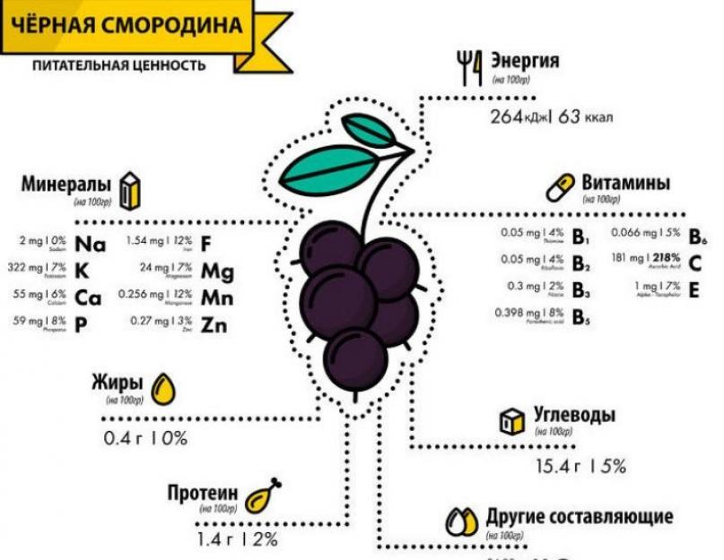 Сколько смородины в 100 граммах. Смородина какие витамины содержит.