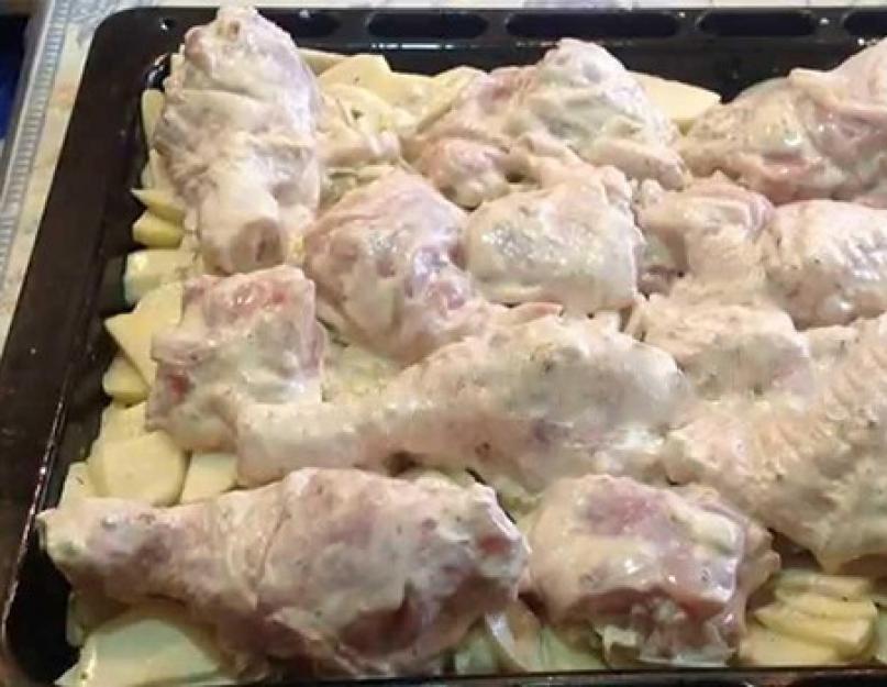 Маринад для курицы с растительным маслом. Как сделать вкусный шашлык из курицы