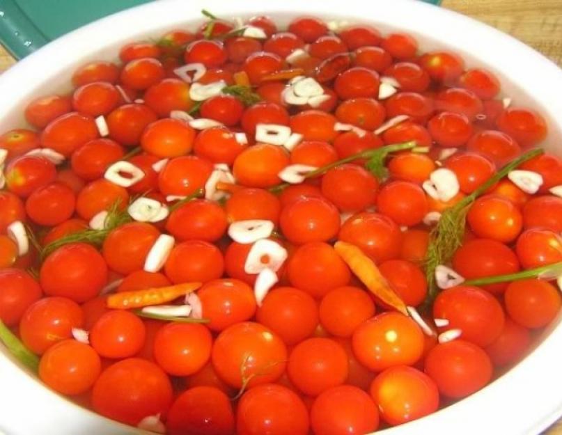 Recette de marinage de tomates dans un sac.  Tomates légèrement salées en sachet avec de l'ail : une recette rapide.  Les meilleures recettes de tomates marinées légèrement salées dans une casserole avec de l'eau froide, un tonneau farci aux herbes et à l'ail, avec de la moutarde, des concombres, des légumes verts