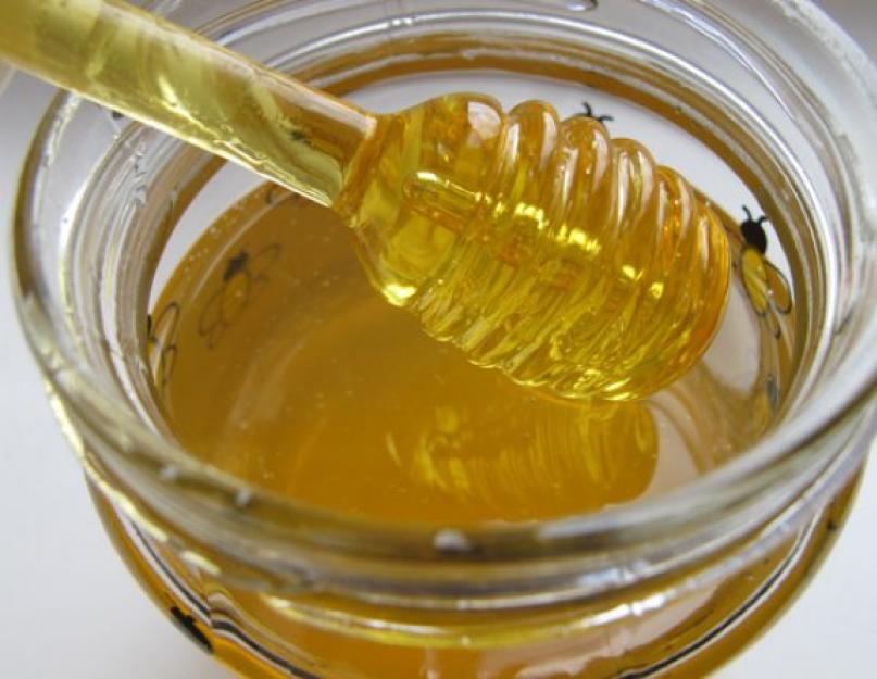 Кипрейный мед состав. Особенности меда из кипрея