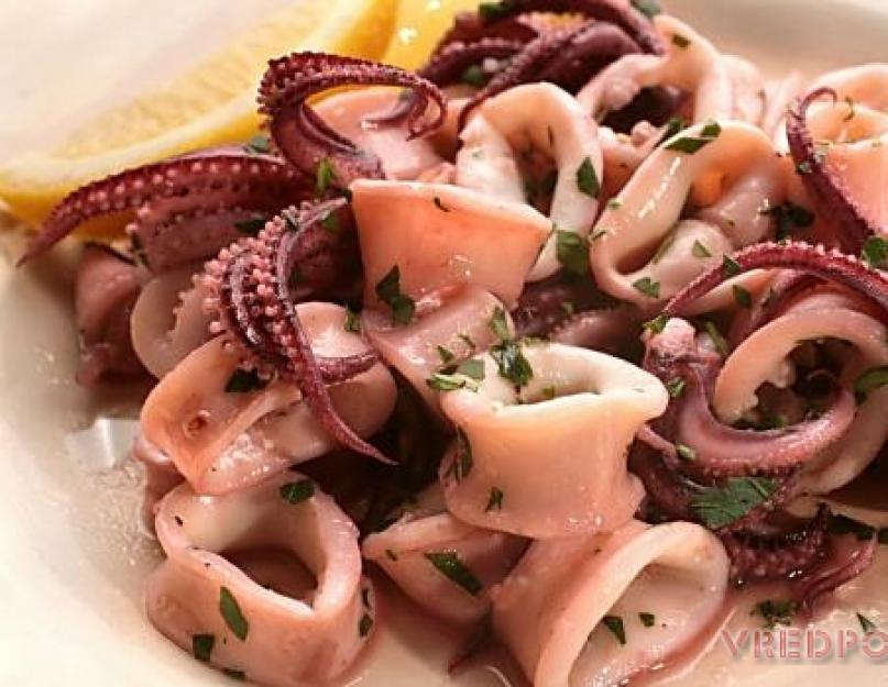 Quels sont les bienfaits des calamars bouillis ?  Propriétés utiles du calmar pour l'homme.  Plats de calamars délicieux et simples