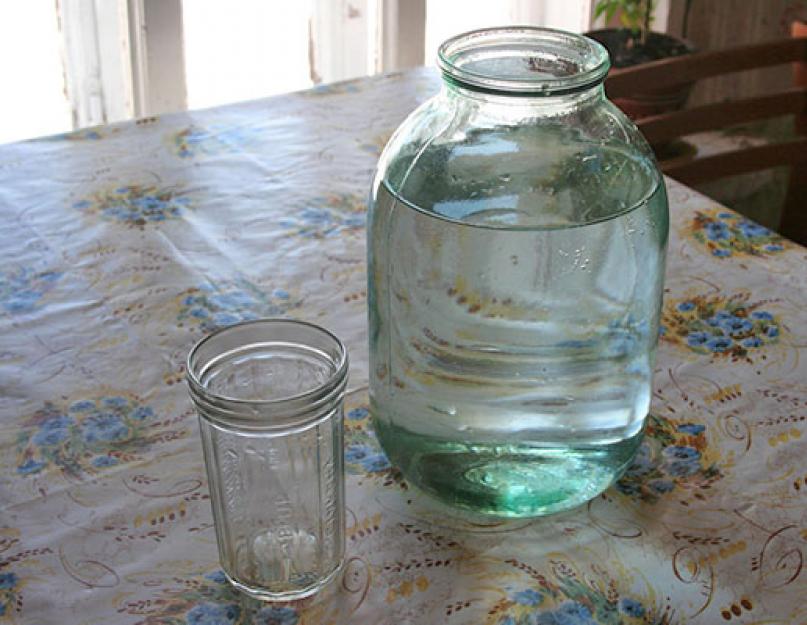 Как сделать березовый сок с лимонной кислотой. Рецепты консервации березового сока в домашних условиях